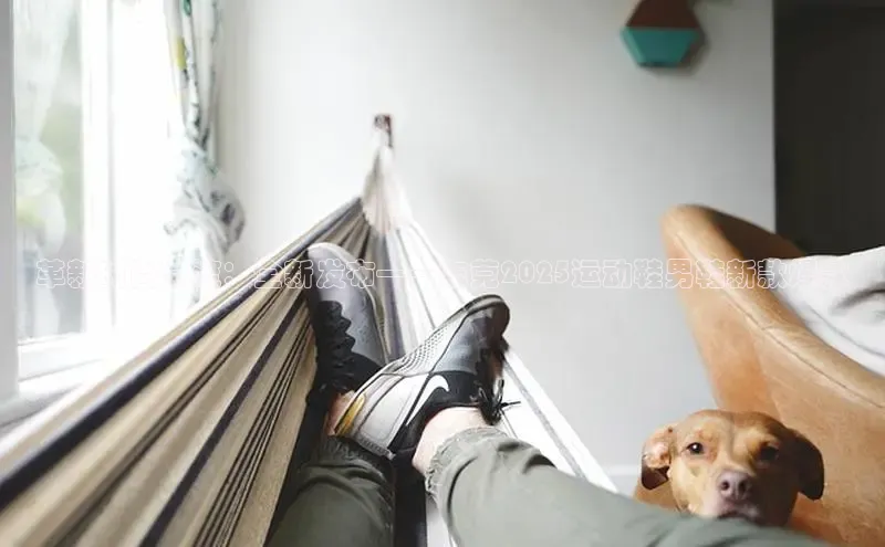 壹号大舞台官网入口